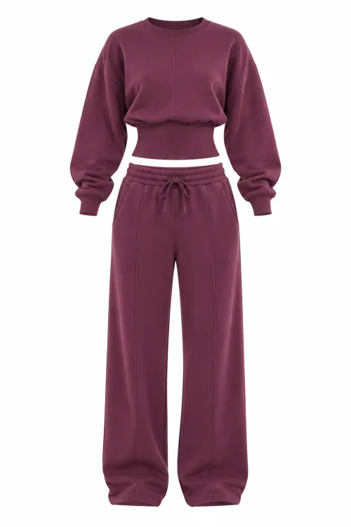 Long Sleeve Cinched Waist Seam Detail Sweatshirt In Plum