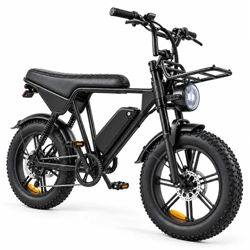 T16 500W Fat Tyre Electric Bike